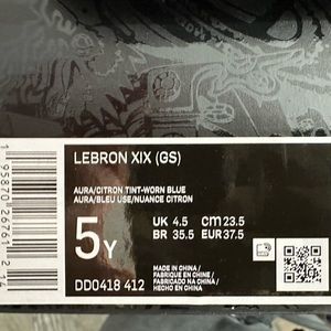 Nike Lebron XIX (GS)